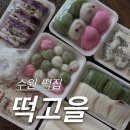 [수원/정자동] 수원떡케이크 정자동떡집 '떡고을' 후기