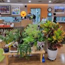 합천황토한우프라자 | [합천] 가족 외식하기 좋은 식당 &#39;합천 황토 한우프라자&#39;