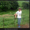 준우목장 이미지