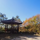 치악산둘레길 6코스 매봉산자락길 이미지