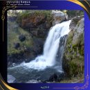 본질을 묻다 이미지