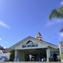 워너투어닷컴㈜ | [골드코스트 여행] 시월드(Sea World) 내돈내산 후기: 가는 법, 공연 시간, 명당 팁 총정리