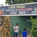 행복을 farm | 🍁 밴쿠버 근교 가을 필수 코스! Taves Family Farm Pumpkin Patch 즐기기 완벽 가이드