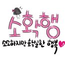 하나미 이미지