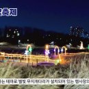 서울여행 ｜ 양재천 빛축제 강남의 빛 22 STARS 이미지
