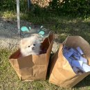 부석고등학교 이미지