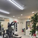 안양필라테스 정착하게 된 디힐스튜디오 후기