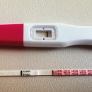 라팡산부인과의원 | [팀원영입#2]배란유도제 복용 후기 및 두통 증세(클로미펜VS페마라)