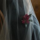 [공지] 웨딩 촬영 부케 센터피스 플라워디렉팅 업체 추천 플라워스튜디오시소 후기