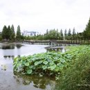 금관대로1368번길 이미지