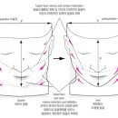 노블의원 이미지
