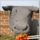 비비큐치킨제주