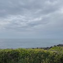 애월정의원 이미지