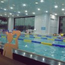 퍼스트 스윔 이미지