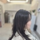 더헤리 이미지
