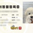 우보리
