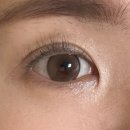 위본안경 위드렌즈 이미지