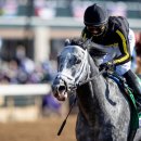 제이에스초이스 이미지