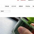 패드 - 서초구 반포대로8길 5-6 | 패드