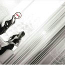 나무스튜디오 이미지