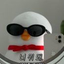 캘리그라피자격(A반) | 일본 배우자 비자 받기 위한 * 재류자격인정증명서(COE) 신청 / 한일부부