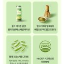 윌그린 | 윌 제주말차 신상 후기! 4~5월 한정 말차덕후라면 무조건 추천