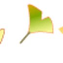 도봉-도봉-2076 이미지