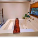 스테이 파란 이미지