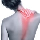 중부-현장-중부-2007 | 구미 옥계 산동 운동재활 리바디볼 운동센터 ( 목 통증은 승모근 스트레칭?)