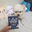 pet14너7353 | 강아지 유산균 프로바이오틱스 맥스바이옴 테라 보울라디