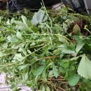 선학초등학교 이미지