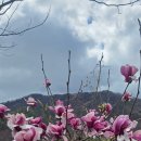 서들농장 이미지