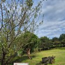 봄민박 | 낙안읍성근처 숙소 [송원민박] 솔직후기! 깔끔 단체&amp;가족숙소로 추천