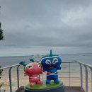 대천여행 : 대천 해수욕장 / 산책 / 근처상가구경 / 소라게 / 샤워장 / 파라솔대여 가격 / 안전요원