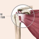 포레스트운동센터 이미지