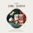 다미인에스테틱