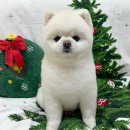 댕플래닛