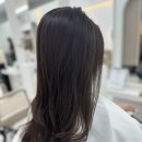 지축보그헤어 이미지