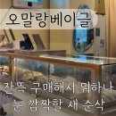 오말랑베이글 | 아침 일찍 여는 광교 베이글 오말랑베이글 | 유기농 밀가루로 만드는 이색베이글 종류