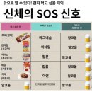수유진미갈매기 이미지