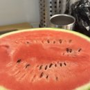 나래컬리 | [임신일기] 30주 임산부 수박, 만삭사진, 숨차는 증상, 당근으로 6M 옷 구매!