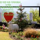 가평힐링캠프 이미지