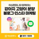 동문광고기획 | 강아지 고양이 반려동문 분양샵 마케팅, 블로그 인스타 관리가 중요한 이유