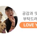 원조해삼양평해장국 이미지