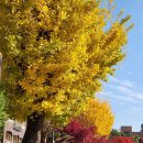 설봉어린이집 이미지