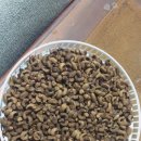 포항곤충농장 이미지