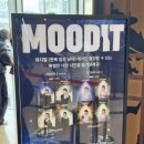 김주호 | 뮤지컬<한복입은남자> 커튼콜데이 후기 | 고은성, 신성록, 민영기, 김주호, 최지혜, 윤선용, 손의완