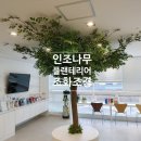 별고운빛의원 이미지