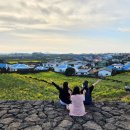 하도별방진 이미지