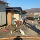 삼송동물병원 이미지